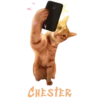 Cats Names.MOV 9