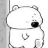 TIERNO POLAR 4 8