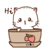 ༺Wen❦the small meow v๏l.5༻ 12