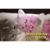 animalitos🖤🖤 13