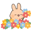 Cute Animals 3 MOV 9
