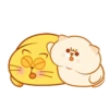 Lovely cats♡ Mov 11