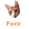 Cats Names.MOV 10