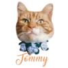 Cats Names.MOV 11