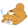 Mochishiba Mov 5
