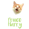 Cats Names.MOV 12