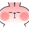 🐇Lovely Spoiled Rabbit🐰 MOV 12