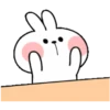 🐇Lovely Spoiled Rabbit🐰 MOV 13