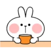 🐇Lovely Spoiled Rabbit🐰 MOV 14