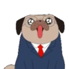 Pug🐶🌼.MOV 15