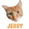 Cats Names.MOV 13