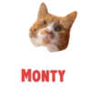 Cats Names.MOV 14