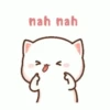 Mochi 14