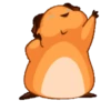 Little Hámster 6