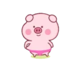 Pink Pig 2 8
