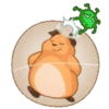 Little Hámster 7