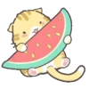 KiTtEn WiTh PeT 15