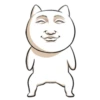 Cara de gato engraçado 10