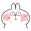 🐇Lovely Spoiled Rabbit🐰 MOV 17