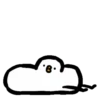 Crazy pigeon 14