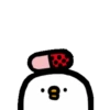 Crazy pigeon 15