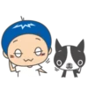 Boston terrier and friends 16