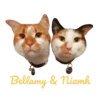 Cats Names.MOV 15