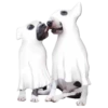 Dogs  ▼・ᴥ・▼ 17