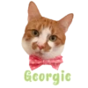 Cats Names.MOV 16