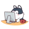 HUSKY. mov. 10