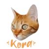 Cats Names.MOV 17
