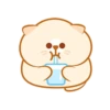 Lovely cats♡ Mov 16