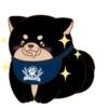 Mochishiba Mov 9