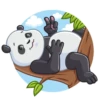 Pandita 11