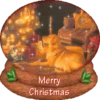 Bola de cristal (natal) 13