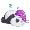 Pandita 12