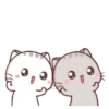 ฅ(⌯͒i⌯͒)ฅẇEṅ ṡṃѧll ṃEȏẇ Mov 14