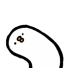 Crazy pigeon 18