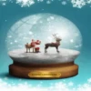 Bola de cristal (natal) 15