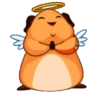 Little Hámster 11