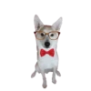 Dogs  ▼・ᴥ・▼ 20