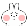 🐇Lovely Spoiled Rabbit🐰 MOV 19