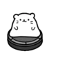 Urso Melty 17