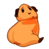 Little Hámster 13