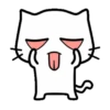 ️White cat 3 Mov 19
