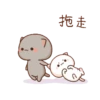 Mochi 19