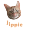 Cats Names.MOV 19