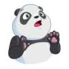 Pandita 16