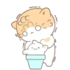 KiTtEn WiTh PeT 20
