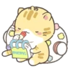 KiTtEn WiTh PeT 21